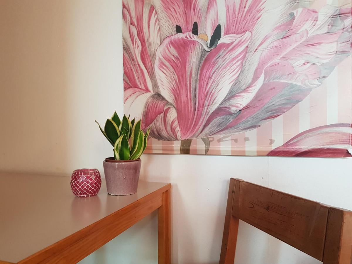 Hostel Penthouse Backpackers Osnabrück Exteriér fotografie